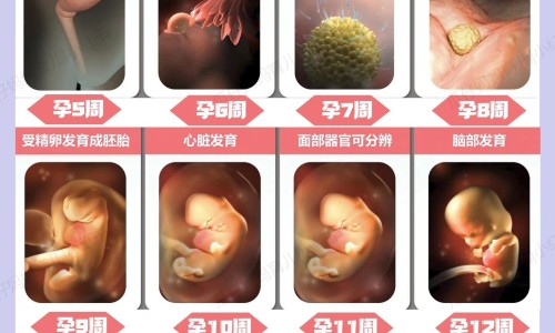 肝癌和囊肿b超区别网- 肝癌和囊肿b超区别图片知识,分享肝癌与肝囊肿b超分辨